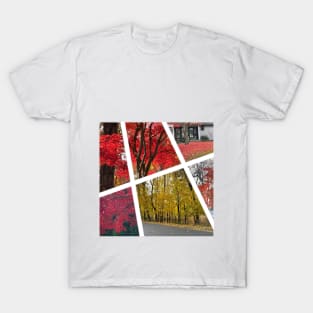 Fall Foliage Collage T-Shirt